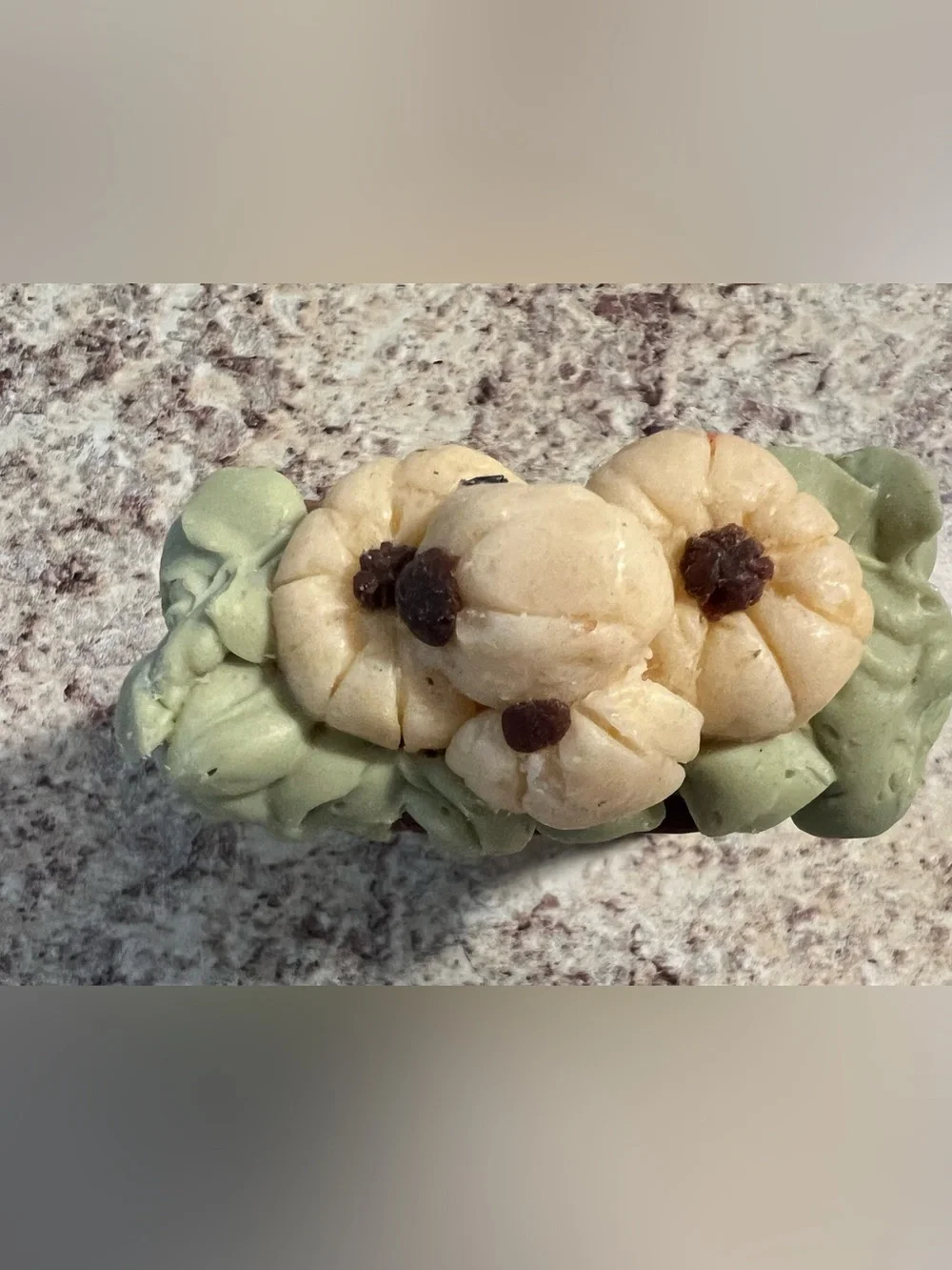Brand New-Fiora Soap Co Pumpkin Patch Homemade Soap